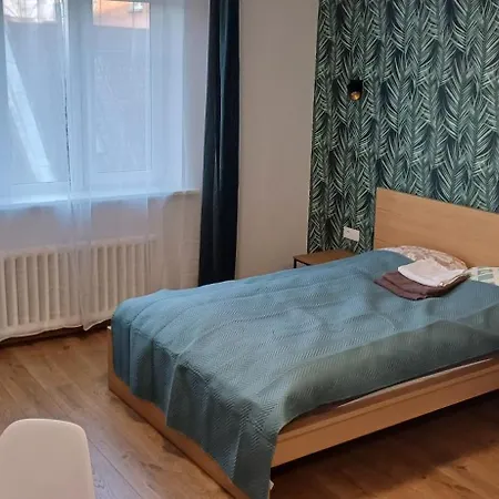 Center & Homely * 클라이페다