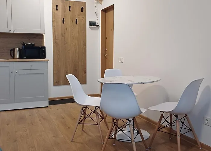 Center & Homely Apartment Klaipeda