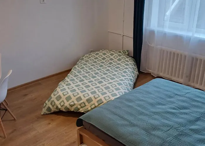 Center & Homely Apartment Klaipeda